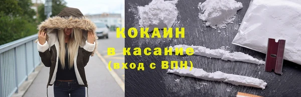 винт Гусев
