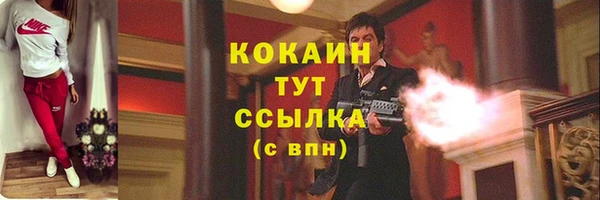 COCAINE Гусь-Хрустальный