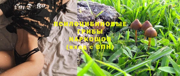 винт Гусев