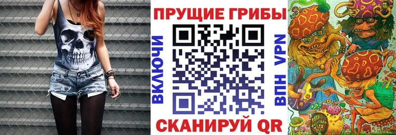 Псилоцибиновые грибы GOLDEN TEACHER  omg маркетплейс  Карачев 